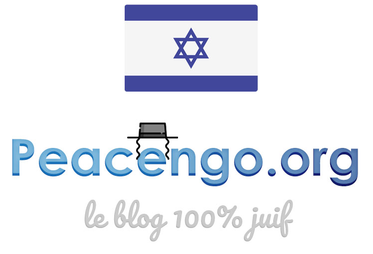 peacengo.org